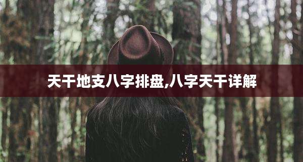 天干地支八字排盘,八字天干详解