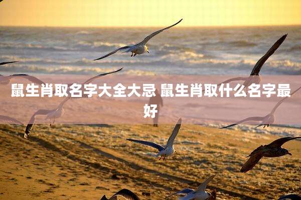 鼠生肖取名字大全大忌 鼠生肖取什么名字最好