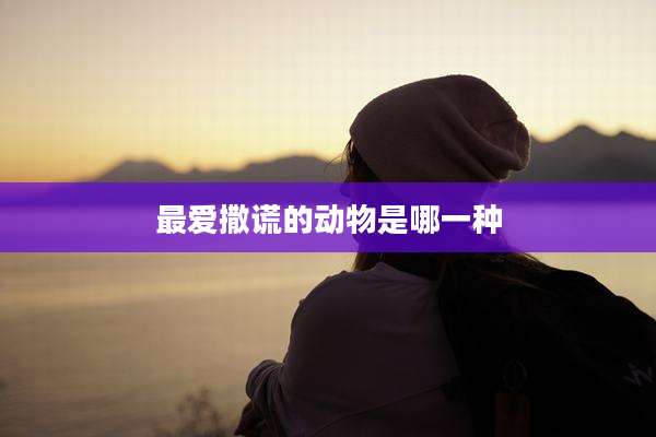 最爱撒谎的动物是哪一种