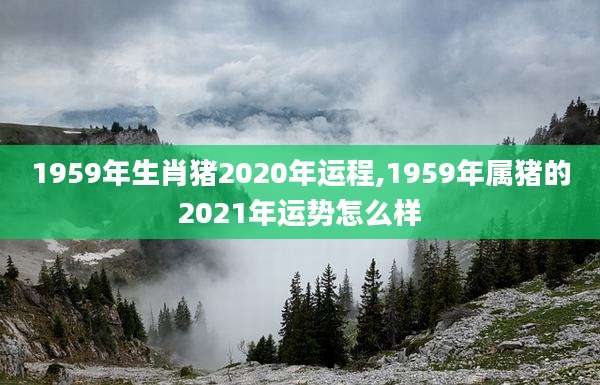 1959年生肖猪2020年运程,1959年属猪的2021年运势怎么样