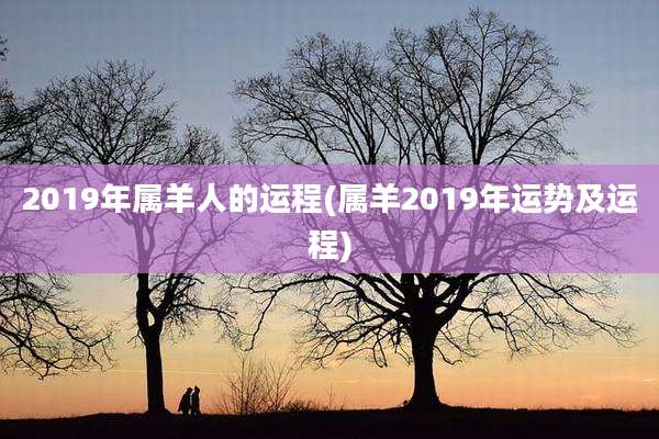 2019年属羊人的运程(属羊2019年运势及运程)