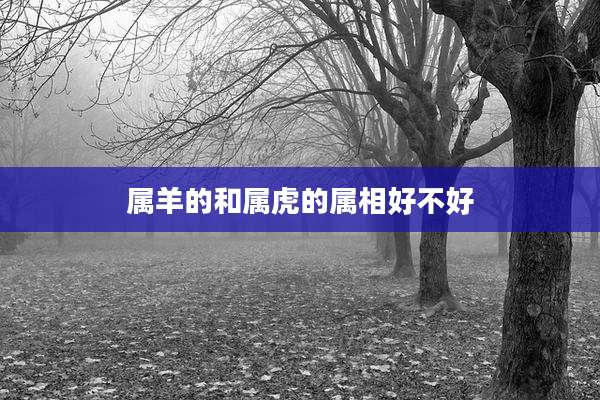 属羊的和属虎的属相好不好
