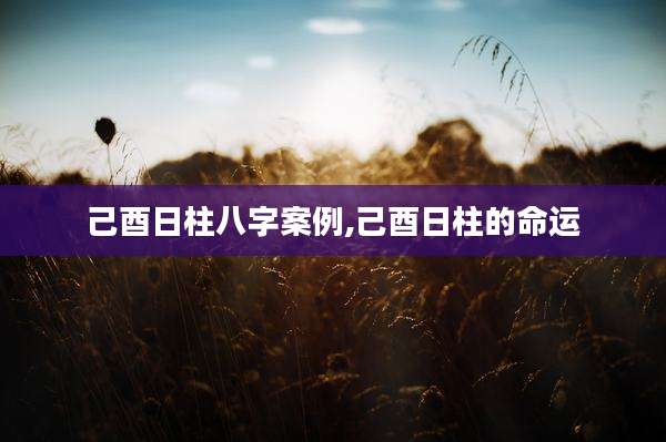 己酉日柱八字案例,己酉日柱的命运