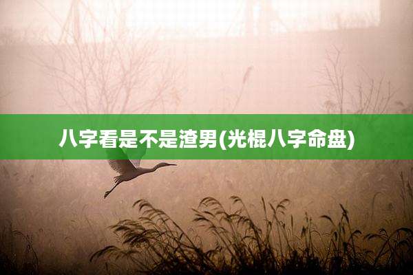 八字看是不是渣男(光棍八字命盘)