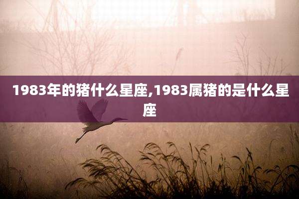 1983年的猪什么星座,1983属猪的是什么星座