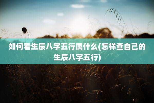 如何看生辰八字五行属什么(怎样查自己的生辰八字五行)