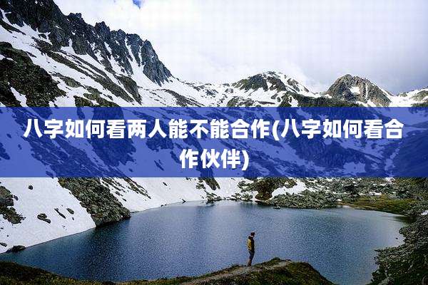 八字如何看两人能不能合作(八字如何看合作伙伴)
