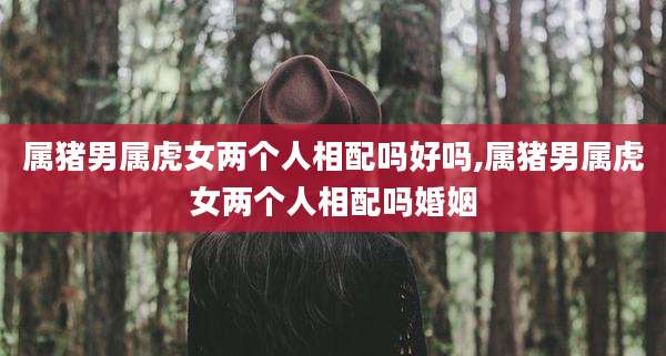 属猪男属虎女两个人相配吗好吗,属猪男属虎女两个人相配吗婚姻