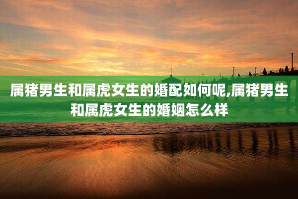 属猪男生和属虎女生的婚配如何呢,属猪男生和属虎女生的婚姻怎么样
