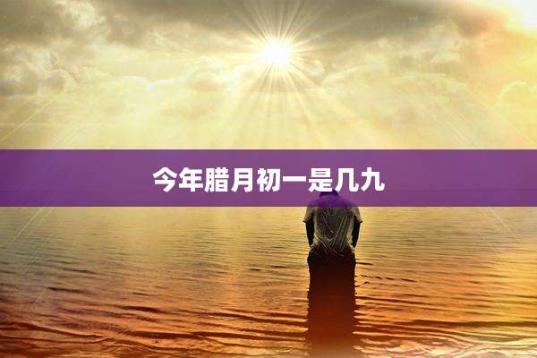 今年腊月初一是几九