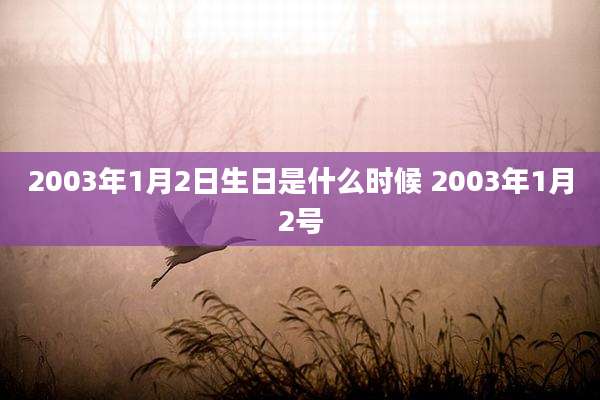 2003年1月2日生日是什么时候 2003年1月2号