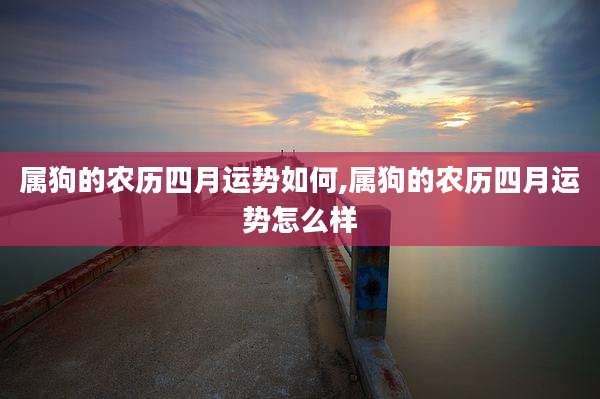 属狗的农历四月运势如何,属狗的农历四月运势怎么样