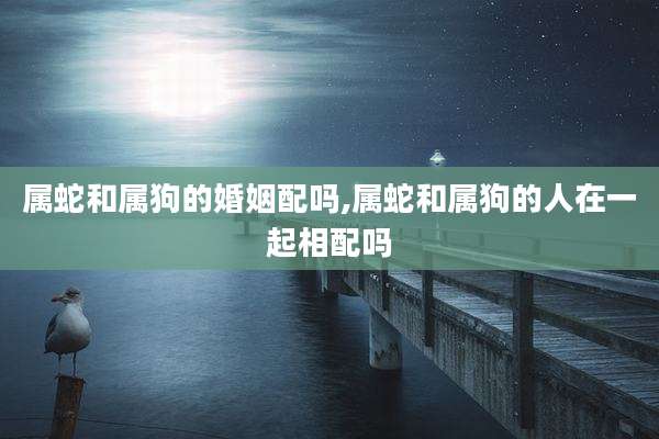 属蛇和属狗的婚姻配吗,属蛇和属狗的人在一起相配吗