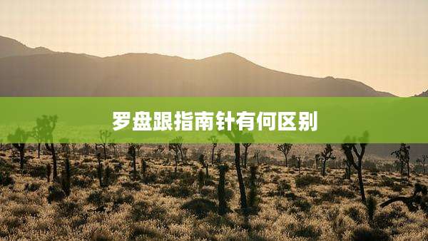 罗盘跟指南针有何区别