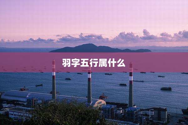 羽字五行属什么