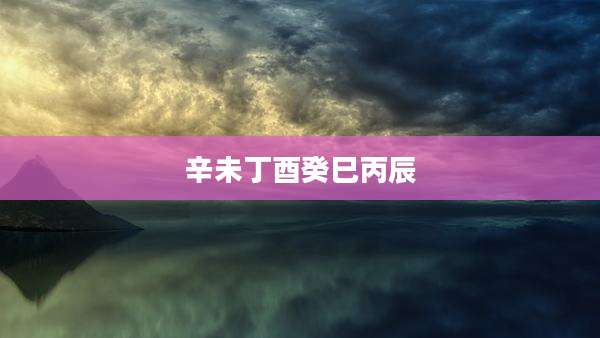 辛未丁酉癸巳丙辰