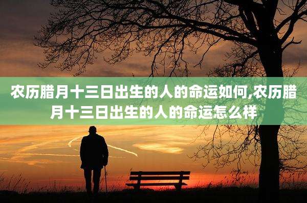 农历腊月十三日出生的人的命运如何,农历腊月十三日出生的人的命运怎么样