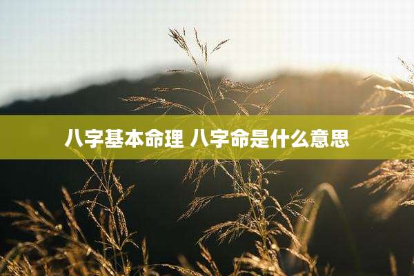 八字基本命理 八字命是什么意思