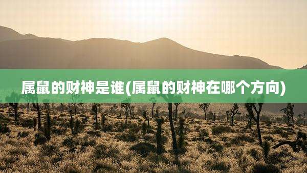 属鼠的财神是谁(属鼠的财神在哪个方向)