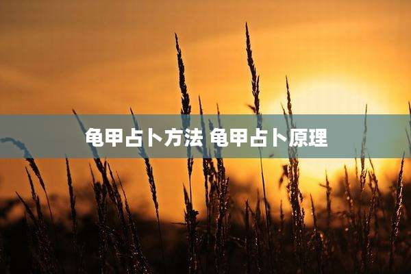 龟甲占卜方法 龟甲占卜原理