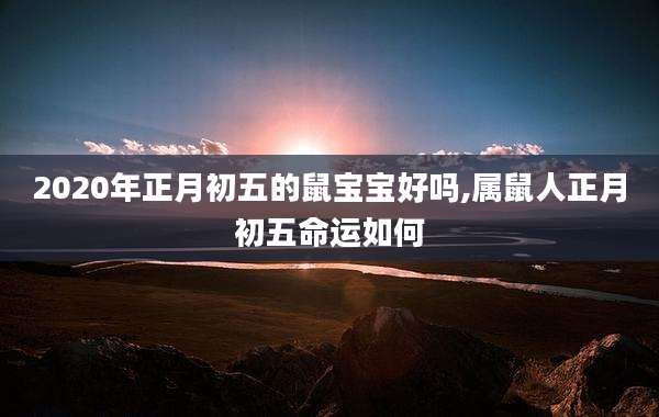 2020年正月初五的鼠宝宝好吗,属鼠人正月初五命运如何