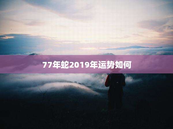 77年蛇2019年运势如何