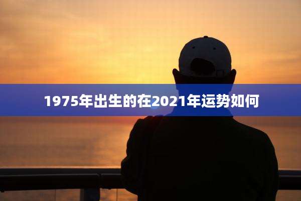 1975年出生的在2021年运势如何