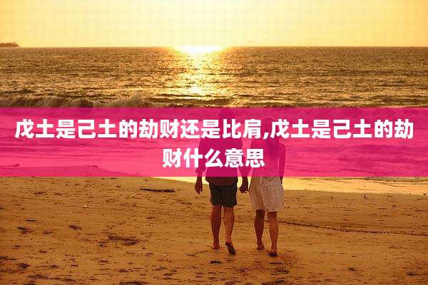戊土是己土的劫财还是比肩,戊土是己土的劫财什么意思