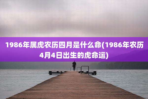 1986年属虎农历四月是什么命(1986年农历4月4日出生的虎命运)