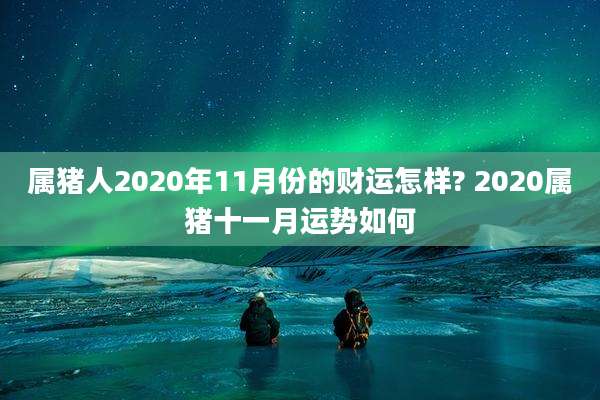 属猪人2020年11月份的财运怎样? 2020属猪十一月运势如何