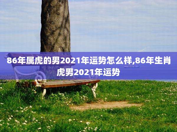 86年属虎的男2021年运势怎么样,86年生肖虎男2021年运势