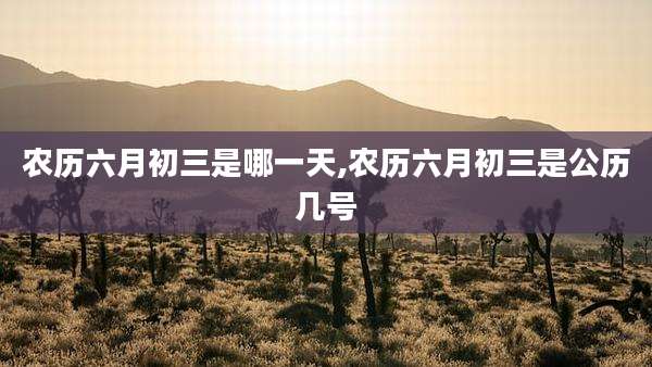 农历六月初三是哪一天,农历六月初三是公历几号