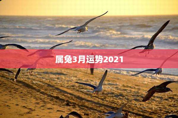属兔3月运势2021