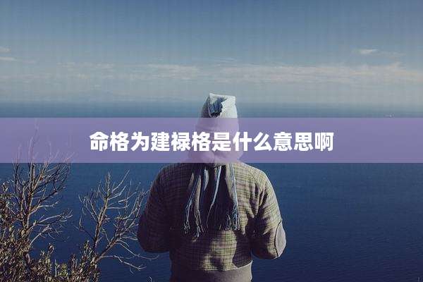 命格为建禄格是什么意思啊