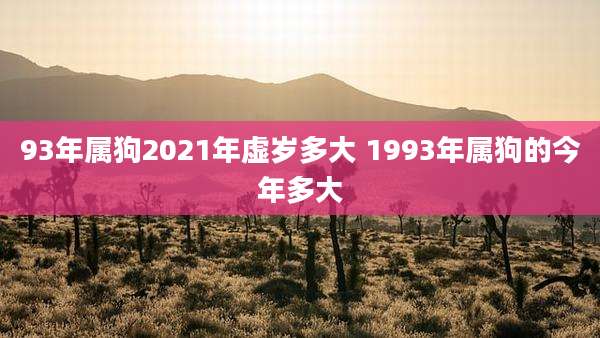 93年属狗2021年虚岁多大 1993年属狗的今年多大