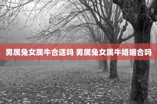 男属兔女属牛合适吗 男属兔女属牛婚姻合吗