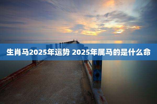 生肖马2025年运势 2025年属马的是什么命