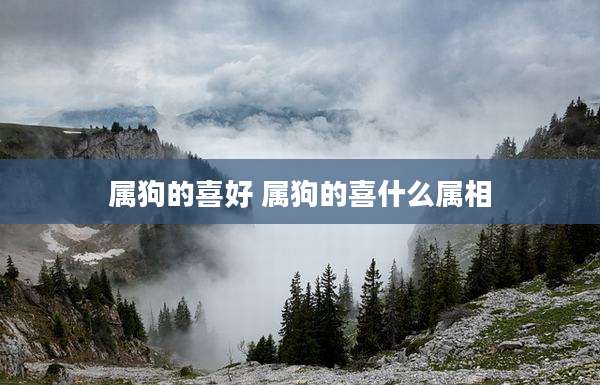 属狗的喜好 属狗的喜什么属相