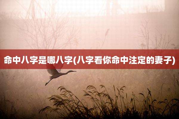 命中八字是哪八字(八字看你命中注定的妻子)