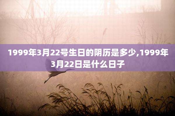 1999年3月22号生日的阴历是多少,1999年3月22日是什么日子