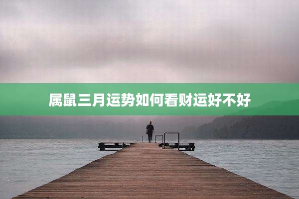 属鼠三月运势如何看财运好不好