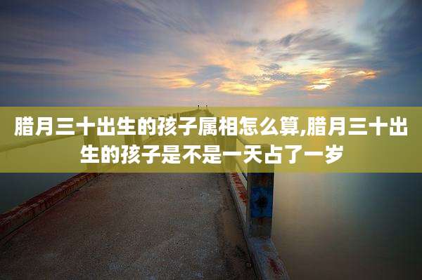 腊月三十出生的孩子属相怎么算,腊月三十出生的孩子是不是一天占了一岁