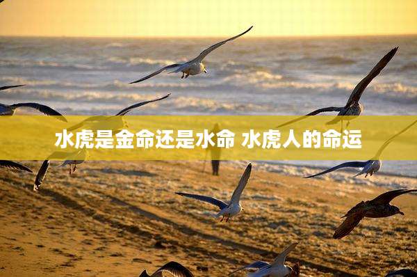水虎是金命还是水命 水虎人的命运
