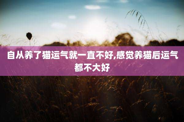 自从养了猫运气就一直不好,感觉养猫后运气都不大好