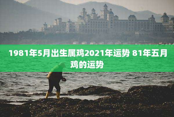 1981年5月出生属鸡2021年运势 81年五月鸡的运势