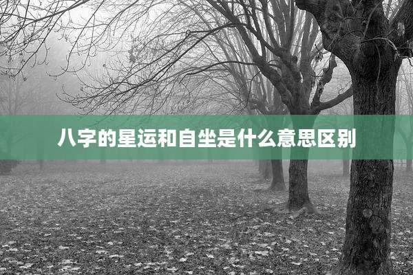 八字的星运和自坐是什么意思区别