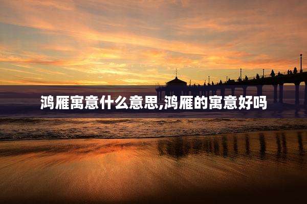鸿雁寓意什么意思,鸿雁的寓意好吗