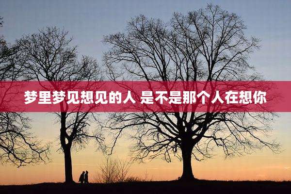 梦里梦见想见的人 是不是那个人在想你