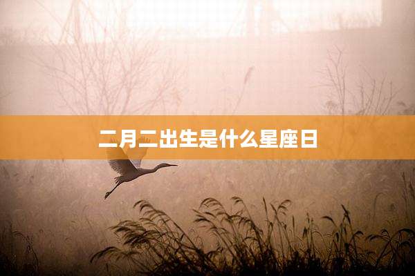 二月二出生是什么星座日