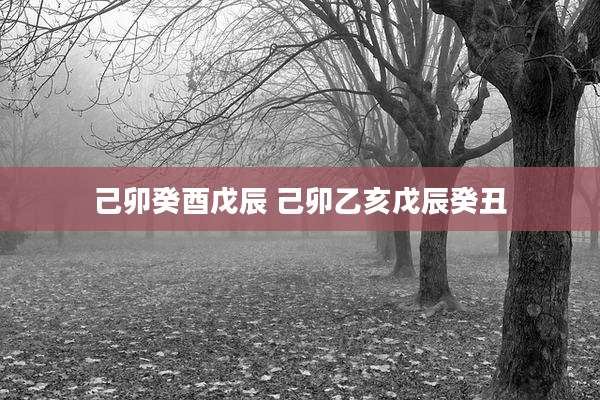 己卯癸酉戊辰 己卯乙亥戊辰癸丑